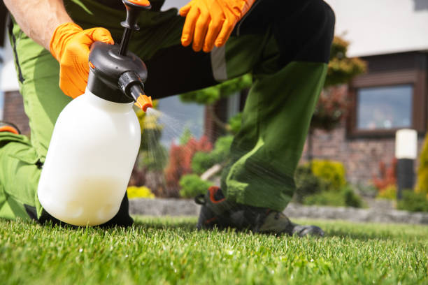 Professional Pest Control in Chittenango, NY