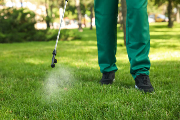 Wildlife Control Services in Chittenango, NY