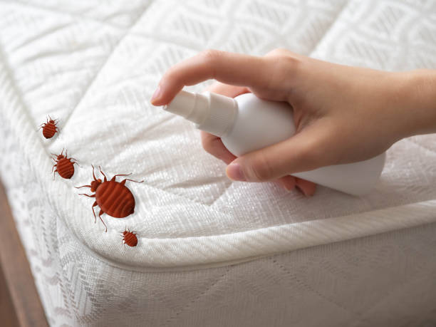 Best Best Pest Control Companies  in Chittenango, NY